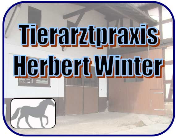 Veterinary for horses Herbert Winter